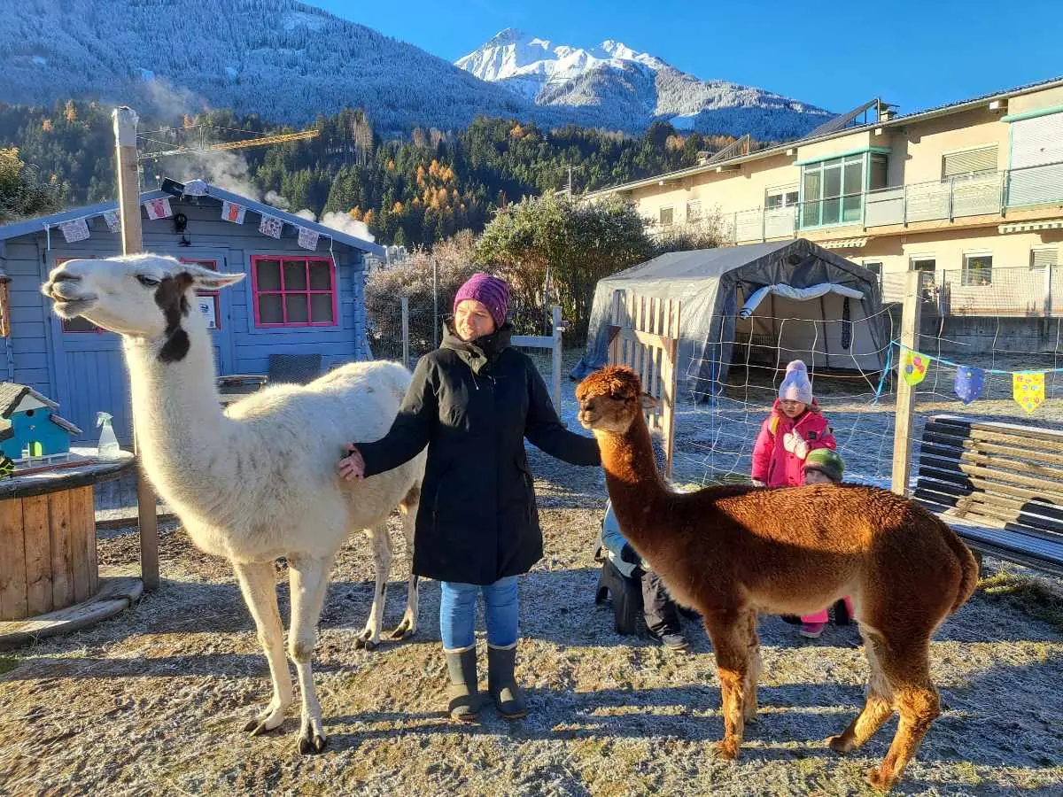 Kinder begegnen den Alpakas und Lamas auf der Weide.