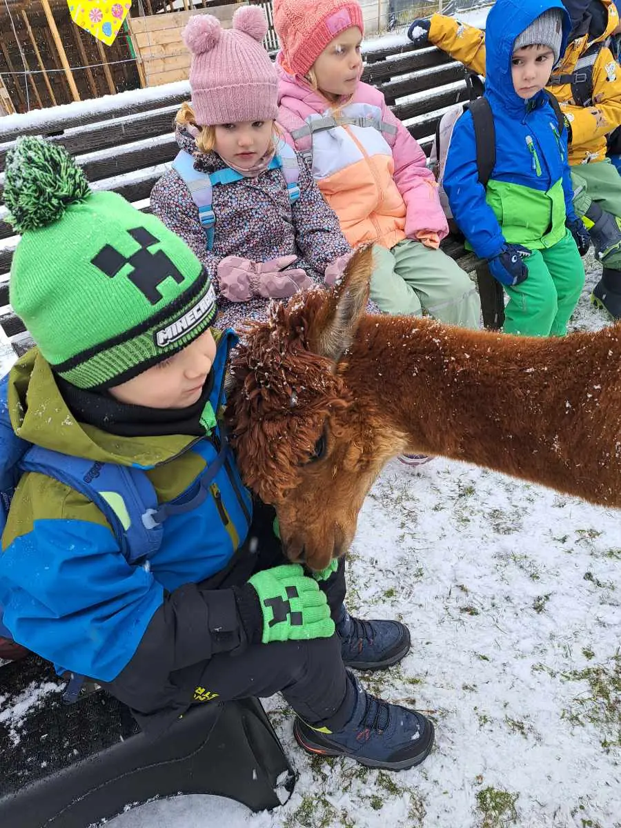 Kinder beobachten ein Lama aus der Nähe.